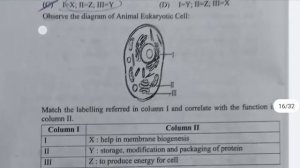 Answer Key Class 9 Natural Science Evening Shift Mid Term ll solution ll mid term ll 2021-22 #doe