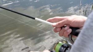 Обзор спиннинга Favorite White Bird. Модель 2020