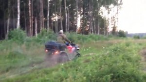Стелс 300