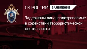 Задержаны лица, подозреваемые в содействии террористической деятельности