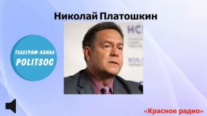 Николай Платошкин о заявлении Пескова