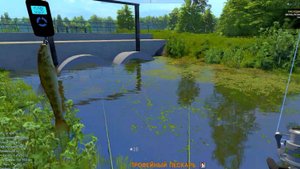 FISHER ONLINE: Беларусь, пруд Дукора, трофейные пескарь и уклейка