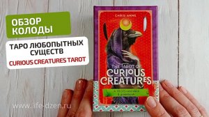 Обзор новинки, The Tarot of Curious Creatures, от автора колоды Таро Светлого Провидца