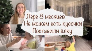 ЛЕРЕ 8 МЕСЯЦЕВ ? НЕ МОЖЕТ ЕСТЬ КУСОЧКИ ? ПОСТАВИЛИ ЕЛКУ ? ДОМАШНИЙ ВЛОГ