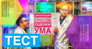 Роль загадок в развитии логического мышления!(тест №1)