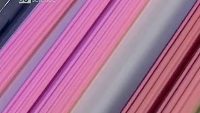 Из чего делают жевательную резинку