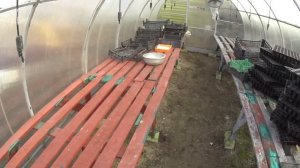 Сера разрушает металлический каркас парника? Так ли это? Дезинфекция = ржавчина?