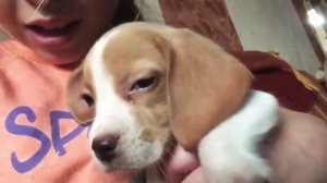 Мне подарят щенка?!?!? /едем за щенком❤️