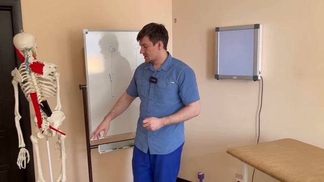 Эта мышца работает только у 0.01% людей и у них идеальный позвоночник. СРОЧНО восстанови ее!!! смотреть онлайн