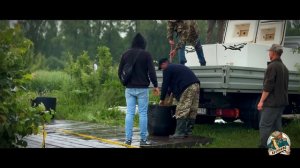 Зарыбление карпом 11.06.2024