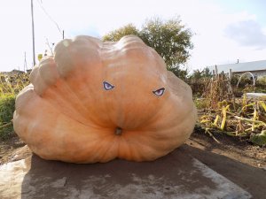 28. Треснула основная плеть!Переводи на вторичную!)  2023 г