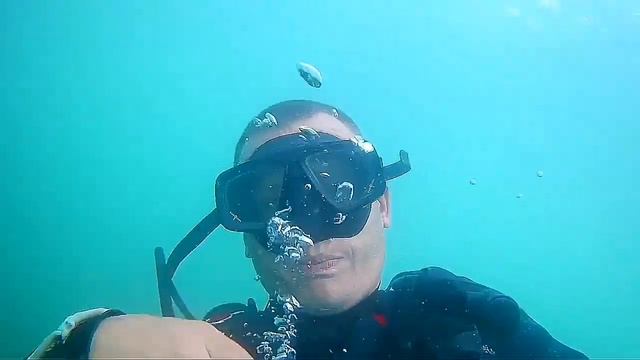 Дайвинг , вечерняя прогулка с младшим братом смотреть онлайн