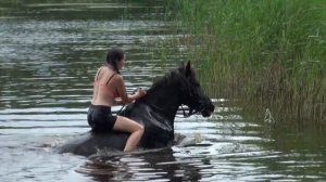 Купание лошадей