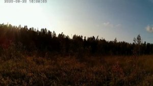 СБОР ЯГОД И ГРИБОВ. 1 ЧАСТЬ