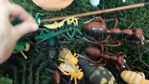 НАСЕКОМЫЕ! НОВЫЙ ОБЗОР//Коробка с ИГРУШКАМИ! Box of toys.