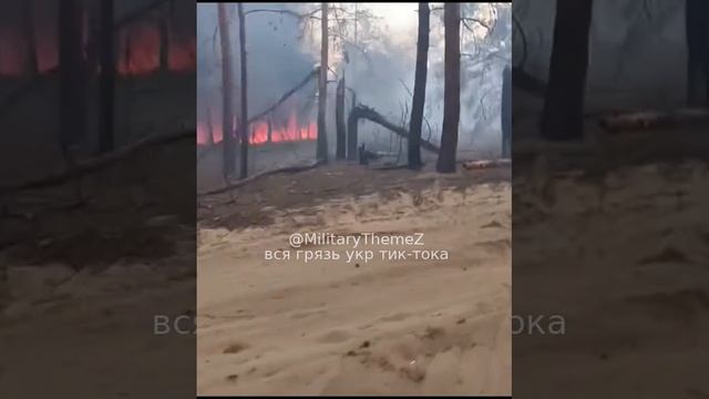 Сгорела позиция ВСУ в Серебрянском лесничестве