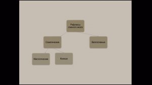 Рефлексы спинного мозга