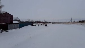 В ДЕРЕВНЮ ПРИШЛИ ВОЛКИ ??? Или следы собаки?