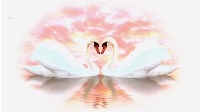 Совместимость Часть 1 смотреть онлайн