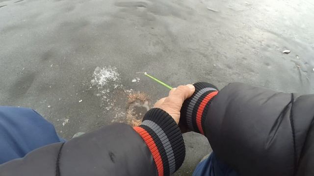 Зимняя рыбалка на водохранилище.  Попал на раздачу плотвы. Клёв плотвы на безмотылку.