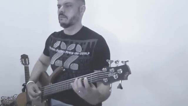 Money - Pink Floyd (Bass Cover) #12 смотреть онлайн