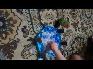 Как разговаривает и играет неразлучник выкормыш