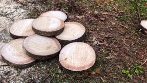 Подставка из дерева своими руками