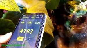 ДОСВЕТКА РАСТЕНИЙ??//СВЕТОВОЙ ПОТОК//ЛЮКСЫ//?ЛАМПЫ ДНаЗ, ДРиЗ и ФИТОМАТРИЦЫ