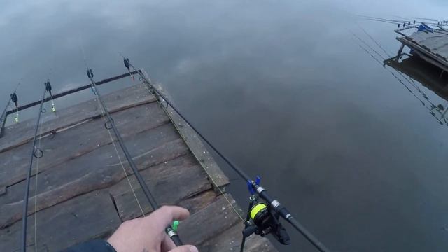 Рыбалка на Карася. Карась сильная рыба. Рыбачим и отдыхаем смотреть онлайн