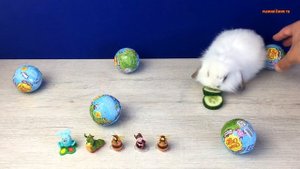 КРОЛИК НОЛИК открывает ЯЙЦА СЮРПРИЗ. Собираем коллекцию игрушек Лунтик