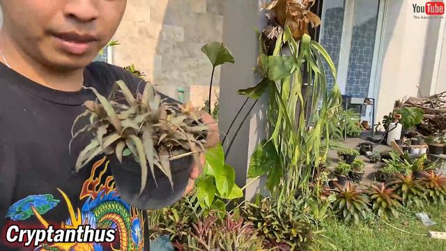 VLOG - TUTORIAL POTONG KAYU PAKAI CHAINSHAW DAN ADA APA AJA SIH DI MARKAS ??? смотреть онлайн