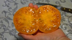 Томат Золото тети Джерти. Тест спелых плодов.