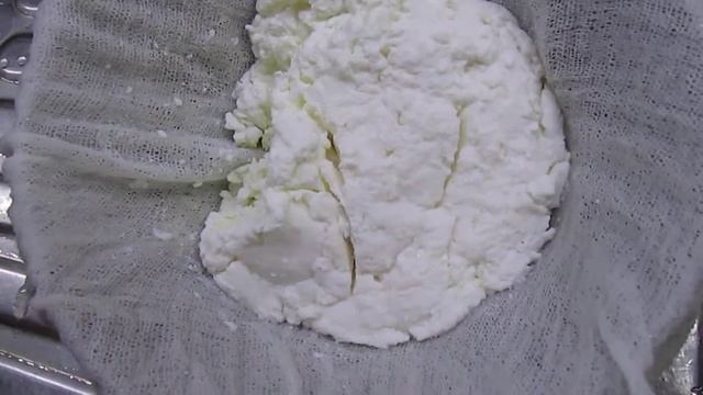 40 Как хранить живой творог