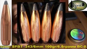 Speer SPBT .243/6mm 100gr/6,5грамм ВС-0,446