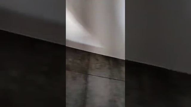 Натяжной потолок в туалетной комнате смотреть онлайн