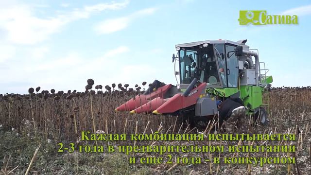 Уборка питомника предварительного сортоиспытания подсолнечника смотреть онлайн