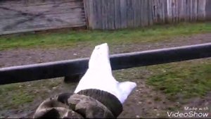 Ворота из профтрубы