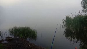 Стабильная рыбалка в Кленого в новой Москве