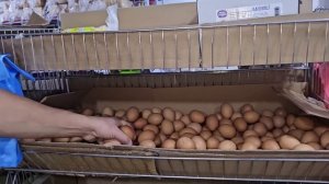 Мальдивы. Первые впечатления оказались негативные. Надо посетить несколько островов, чтоб понять их