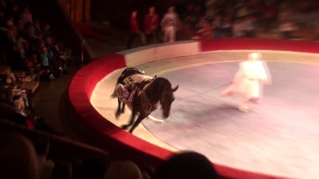 Circus. Acrobats on tne horses. Цирк. Акробаты на лошадях. смотреть онлайн