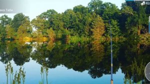 Где и как ловить. Задание - судак# my fishing world