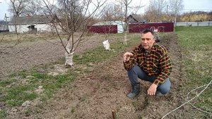 ЭлектроКрот // Фрезы "Гусиные лапки" // По целине-2