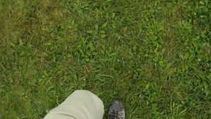 Притча про ослика который упал в колодец