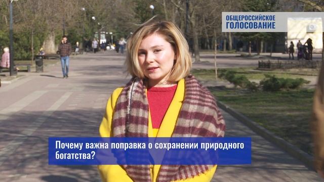 Поправка о сохранении природного богатства в Конституцию РФ смотреть онлайн