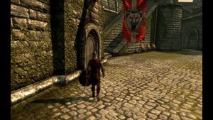 Skyrim Прикол 30