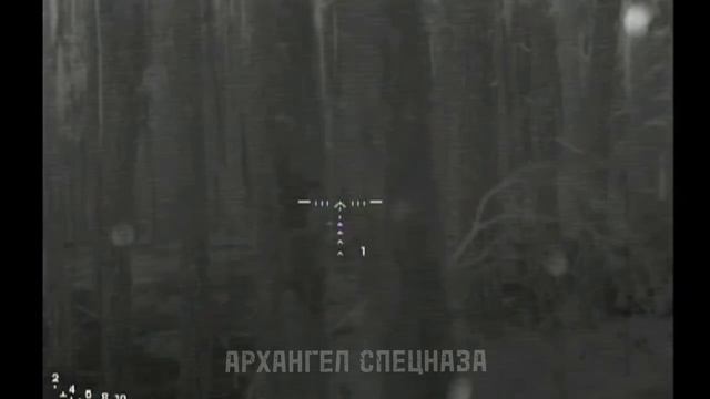 2_5199840940180644841.MOV