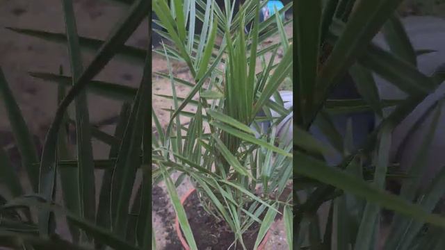 love a bargain #sale 🤑 смотреть онлайн