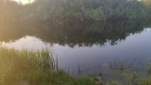 вечерний клёв рыбалка на реке карасук