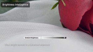 Монитор BenQ GW2480 (9h.lgdla.tbe), 24 дюйма
