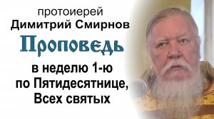 Проповедь в неделю 1-ю по Пятидесятнице, Всех святых (2013.06.30). Протоиерей Димитрий Смирнов